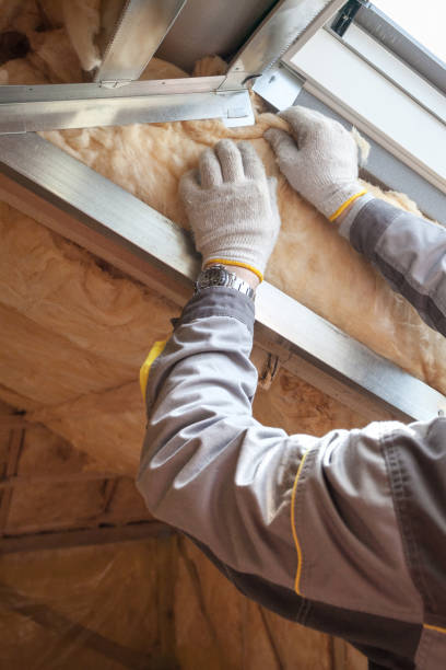 Professional Insulation Contractor in Germantown Hills, IL